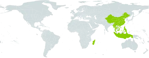 Coelachne simpliciuscula world distribution map, present in China, Indonesia, Madagascar, Myanmar, Nepal, Philippines, Thailand, and Viet Nam