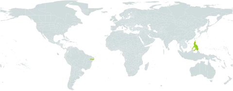 Coelogyne pandurata world distribution map, present in Brazil and Philippines