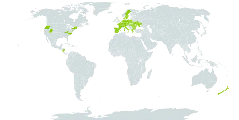 Colchicum autumnale world distribution map, present in Albania, Austria, Bulgaria, Switzerland, Czech Republic, Germany, Denmark, Spain, France, United Kingdom of Great Britain and Northern Ireland, Greece, Hungary, Ireland, Italy, Nicaragua, Netherlands, New Zealand, Poland, Romania, Sweden, Ukraine, and United States of America