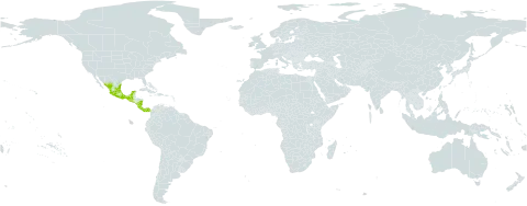 Colubrina heteroneura world distribution map, present in Colombia, Costa Rica, Guatemala, Mexico, Nicaragua, Panama, and El Salvador