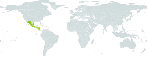Colubrina triflora world distribution map, present in Costa Rica, Guatemala, Honduras, Mexico, Nicaragua, and El Salvador