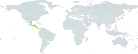 Comarostaphylis arbutoides world distribution map, present in Costa Rica, Guatemala, Honduras, Mexico, Nicaragua, and Panama
