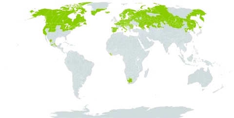 Comarum palustre world distribution map, present in Armenia, Austria, Belgium, Bulgaria, Belarus, Canada, Switzerland, China, Czech Republic, Germany, Denmark, Spain, Estonia, Finland, France, United Kingdom of Great Britain and Northern Ireland, Georgia, Greenland, Croatia, Hungary, Iceland, Italy, Japan, Kazakhstan, Liberia, Liechtenstein, Lithuania, Luxembourg, Latvia, Mexico, North Macedonia, Mongolia, Netherlands, Norway, Poland, Korea (Democratic People's Republic of), Romania, Russian Federation, Saint Pierre and Miquelon, Serbia, Slovakia, Slovenia, Sweden, Ukraine, United States of America, and South Africa