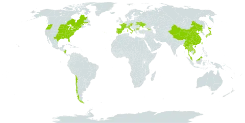 Commelina communis world distribution map, present in Åland Islands, Albania, Austria, Bulgaria, Canada, Chile, China, Czech Republic, Spain, France, Micronesia (Federated States of), Georgia, Italy, Japan, Lao People's Democratic Republic, Myanmar, Malaysia, Nicaragua, Korea (Democratic People's Republic of), Portugal, Thailand, Taiwan, Province of China, Ukraine, United States of America, and Viet Nam