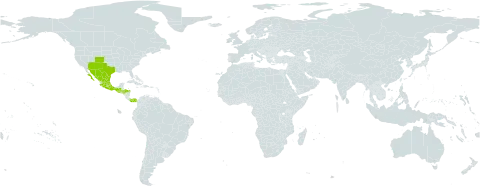 Conopholis alpina world distribution map, present in Guatemala, Honduras, Mexico, Panama, and United States of America