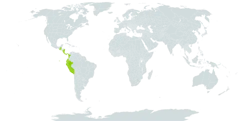Cordia cymosa world distribution map, present in Colombia, Costa Rica, Ecuador, Guatemala, Nicaragua, Panama, and Peru