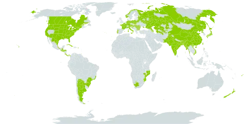 Coreopsis tinctoria world distribution map, present in Argentina, Austria, Azerbaijan, Belgium, Bangladesh, Bulgaria, Belarus, Brazil, Bhutan, Canada, China, Costa Rica, Cuba, Germany, Spain, Fiji, France, United Kingdom of Great Britain and Northern Ireland, Guatemala, Guam, Honduras, Croatia, Hungary, India, Italy, Japan, Kazakhstan, Moldova (Republic of), Mexico, Myanmar, Mozambique, Norway, New Zealand, Pakistan, Panama, Poland, Puerto Rico, Korea (Democratic People's Republic of), Portugal, Romania, Russian Federation, El Salvador, Serbia, Tajikistan, Turkmenistan, Trinidad and Tobago, Taiwan, Province of China, Ukraine, United States of America, Uzbekistan, Viet Nam, and South Africa