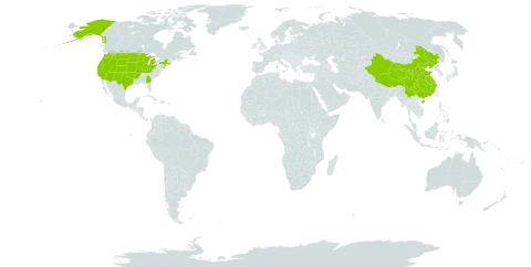 Corispermum world distribution map, present in China and United States of America