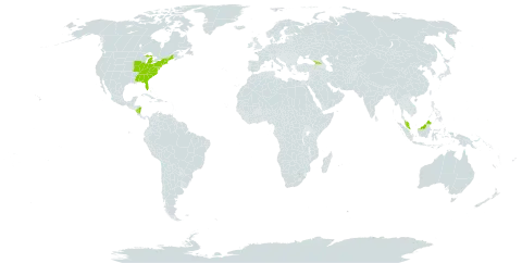 Cornus amomum world distribution map, present in Åland Islands, Micronesia (Federated States of), Georgia, Malaysia, Nicaragua, and United States of America