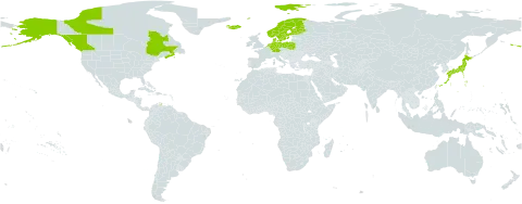 Cornus suecica world distribution map, present in Canada, Germany, Denmark, Finland, France, Iceland, Japan, Netherlands, Norway, Poland, Sweden, and United States of America
