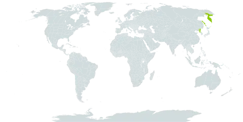 Corydalis ambigua world distribution map, present in Korea (Democratic People's Republic of) and Russian Federation