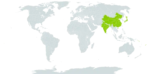 Coryphopteris world distribution map, present in China, Fiji, India, Japan, Solomon Islands, and Samoa