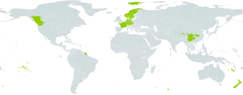 Cotoneaster bullatus world distribution map, present in Austria, Belgium, Canada, Switzerland, China, Czech Republic, Germany, Denmark, France, United Kingdom of Great Britain and Northern Ireland, Norway, New Zealand, Sweden, and United States of America