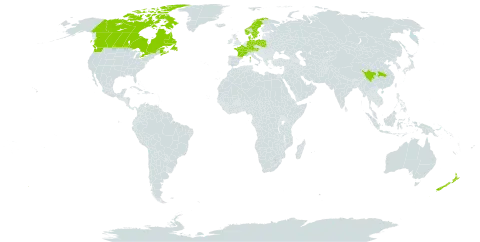 Cotoneaster dielsianus world distribution map, present in Austria, Canada, Switzerland, China, Germany, Denmark, France, United Kingdom of Great Britain and Northern Ireland, Norway, New Zealand, Poland, Sweden, and United States of America