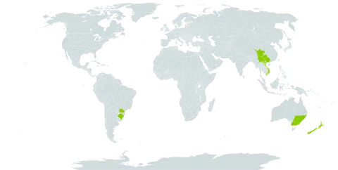 Cotoneaster glaucophyllus world distribution map, present in Australia, Brazil, China, New Zealand, and Viet Nam