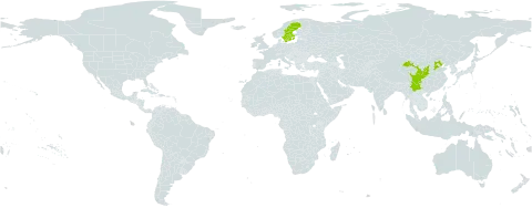 Cotoneaster hebephyllus world distribution map, present in China and Sweden