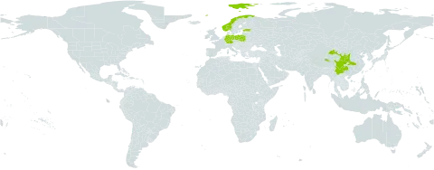 Cotoneaster moupinensis world distribution map, present in China, Germany, Estonia, Norway, and Poland