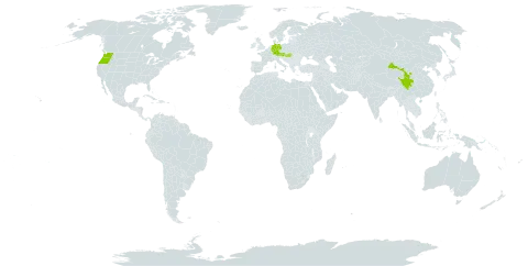 Cotoneaster nitens world distribution map, present in Austria, China, Germany, Hungary, and United States of America