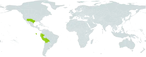 Cottea world distribution map, present in Bolivia (Plurinational State of), Ecuador, Peru, and United States of America