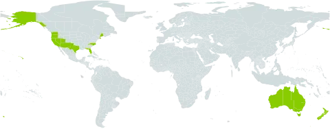 Cotula world distribution map, present in Australia, New Zealand, and United States of America