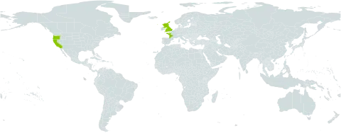 Crambe maritima world distribution map, present in France, United Kingdom of Great Britain and Northern Ireland, and United States of America