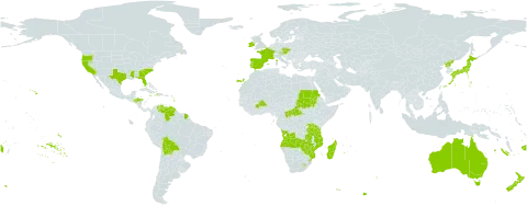Crocosmia world distribution map, present in Angola, Åland Islands, Australia, Austria, Burkina Faso, Bolivia (Plurinational State of), Central African Republic, Czech Republic, Dominica, Spain, Fiji, France, Honduras, Haiti, Ireland, Jamaica, Japan, Lesotho, Madagascar, Mozambique, Norfolk Island, New Zealand, Puerto Rico, Korea (Democratic People's Republic of), Portugal, Rwanda, Sudan, eSwatini, Tanzania, United Republic of, United States of America, Venezuela (Bolivarian Republic of), Zambia, and Zimbabwe