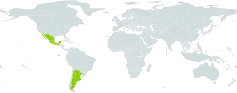 Crotalaria chaco-serranensis world distribution map, present in Argentina and Mexico