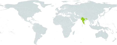 Crotalaria filipes world distribution map, present in India