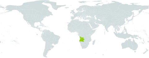 Crotalaria loandae world distribution map, present in Angola