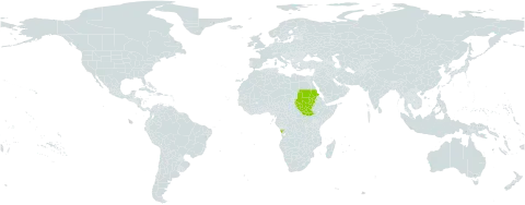 Crotalaria longithyrsa world distribution map, present in Angola, Sudan, and South Sudan