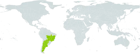 Crotalaria martiana world distribution map, present in Argentina, Brazil, and Paraguay