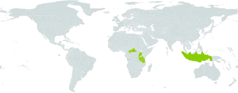 Crotalaria mesopontica world distribution map, present in Angola, Burundi, Central African Republic, Indonesia, Rwanda, Tanzania, United Republic of, and Uganda