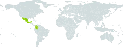 Crotalaria purdieana world distribution map, present in Bonaire, Sint Eustatius and Saba, Colombia, and Mexico