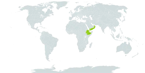 Croton confertus world distribution map, present in Ethiopia, Oman, and Yemen