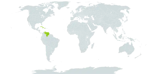 Croton corylifolius world distribution map, present in Cuba, Dominica, Haiti, Jamaica, and Venezuela (Bolivarian Republic of)