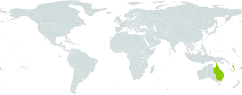 Croton insularis world distribution map, present in Australia and Vanuatu