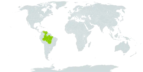Croton krukoffianus world distribution map, present in Brazil and Venezuela (Bolivarian Republic of)