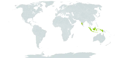 Croton lawianus world distribution map, present in Indonesia and India