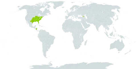Croton michauxii world distribution map, present in Åland Islands, Georgia, Nicaragua, and United States of America