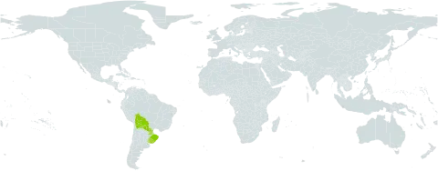 Croton uruguayensis world distribution map, present in Bolivia (Plurinational State of), Brazil, Paraguay, and Uruguay