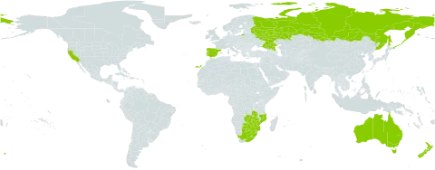 Cucumis myriocarpus world distribution map, present in Australia, Botswana, Spain, Lesotho, Mozambique, New Zealand, Portugal, Russian Federation, eSwatini, United States of America, South Africa, Zambia, and Zimbabwe