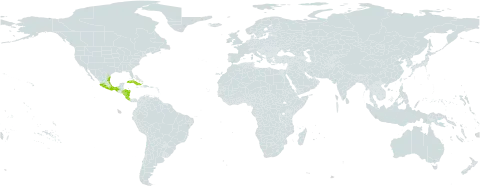Cupania juglandifolia world distribution map, present in Costa Rica, Cuba, Honduras, Mexico, and Nicaragua
