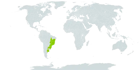 Cuphea fruticosa world distribution map, present in Argentina, Brazil, Paraguay, and Uruguay