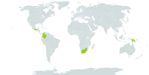 Cuphea ignea world distribution map, present in China, Cook Islands, Colombia, Fiji, Jamaica, Mexico, Papua New Guinea, Réunion, El Salvador, Taiwan, Province of China, United States of America, and South Africa