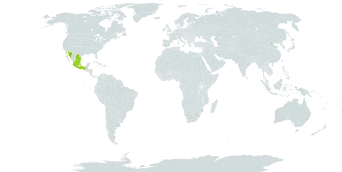 Cuphea lanceolata world distribution map, present in China and Mexico