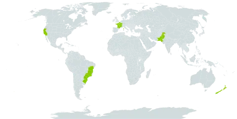 Cupressus macrocarpa world distribution map, present in Brazil, France, New Zealand, Pakistan, and United States of America