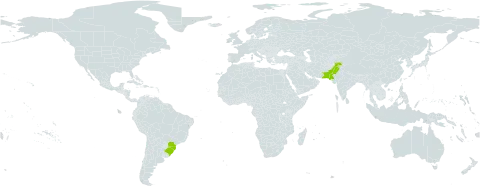 Cupressus torulosa world distribution map, present in Brazil and Pakistan