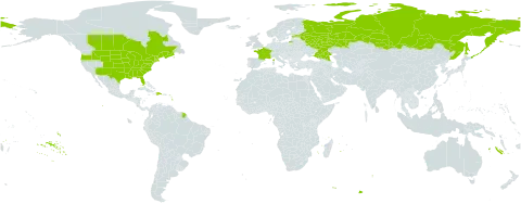 Cuscuta gronovii world distribution map, present in Canada, Dominican Republic, Estonia, France, Russian Federation, and United States of America