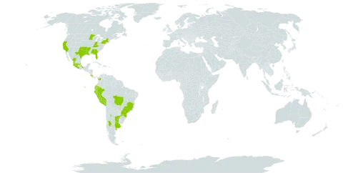 Cuscuta obtusiflora world distribution map, present in Argentina, Brazil, Colombia, Costa Rica, Ecuador, Mexico, Peru, Paraguay, and United States of America