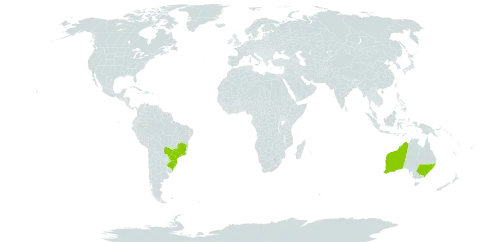 Cuspidaria convoluta world distribution map, present in Australia and Brazil